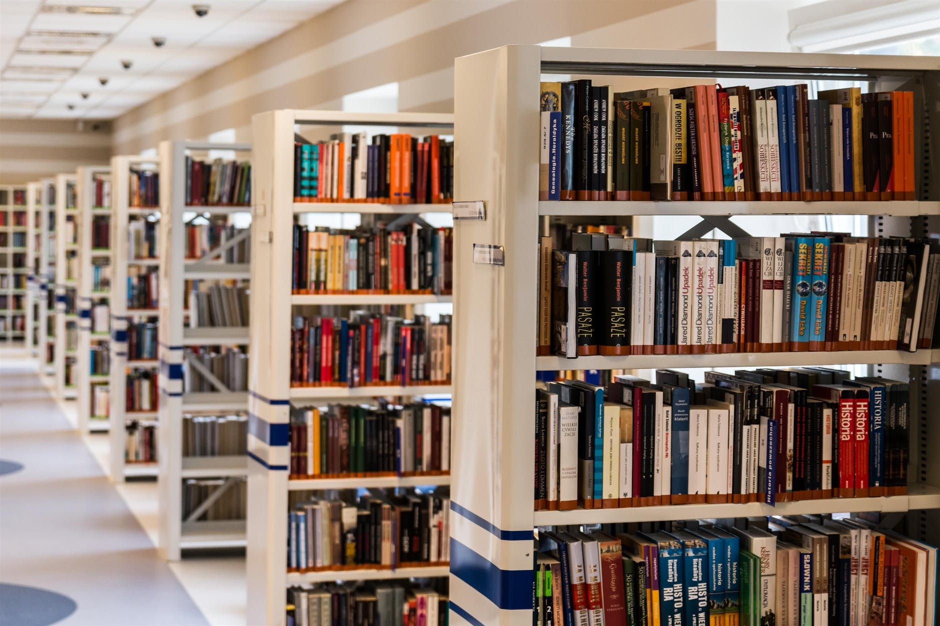 Pós-graduação em Direito: qual caminho seguir após a faculdade?