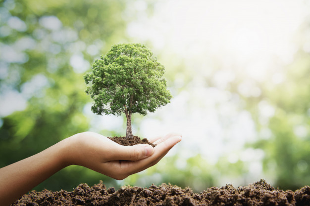 Dia do Planeta Terra: é preciso promover a sustentabilidade